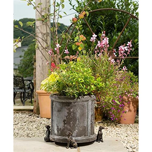 Potty feet Weimaraner Hond Thema Plant Pot Voeten Brons Kleur Set van 3