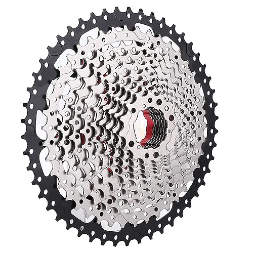 RiToEasysports Freewheel, Premium Kwaliteit Sterk Genoeg Cassettes en Freewheels voor Aandrijflijncomponenten voor Thuis (11S 11-42T Zilver)