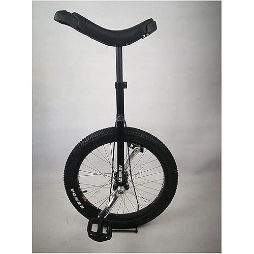 ELzEy Fiets Eenwieler 20 Inch Anti Slip Pedaal Wielen Training Fiets Eenwieler Stevig Stalen Frame, Fitness Fiets (Size : Schwarz)