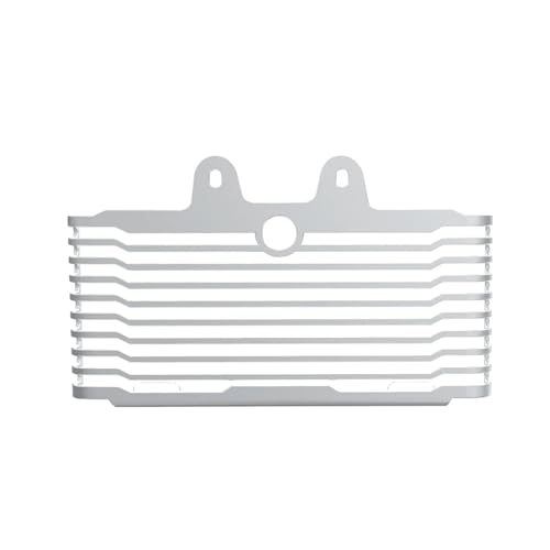 XYWOPO R nine T Radiator Grille Guard Cover, for BMW, for RNineT R NineT 2014 2015 2016 2017 2018 2019 2020 2021 2022 2023, RNine T Onderdelen Radiatorbeschermer voor motorfiets (Size : Silver)