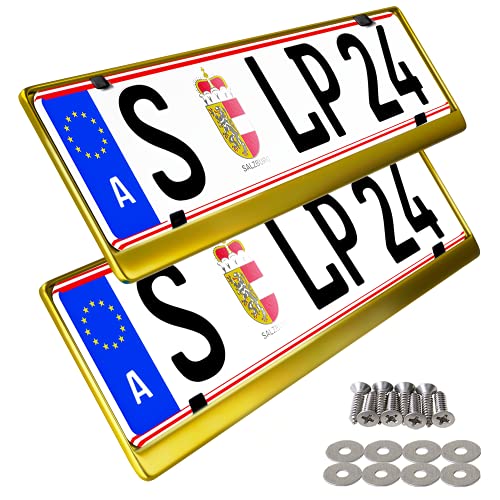 L & P Car Design 2 x kentekenplaathouders in roestvrij staal gepolijst 100% roestvrij staal ook geschikt voor gebogen bumpers afmetingen 520 x 120 mm voor Oostenrijk, Denemarken, Slovenië, Hongarije