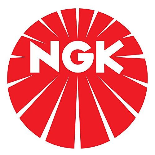 NGK 6317 Ontstekingsset