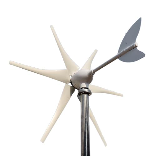 GeRRit Windturbine 2000 W 48 V 24 V 12 V Met MPPT Controller Systeem Draagbare Windmolens Hernieuwbare Energie for hybride Solar Wind Systeem (Color : Turbine Only, Size : 24V)