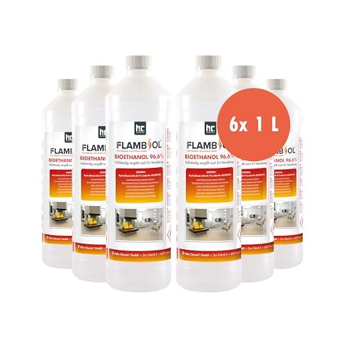 Höfer Chemie 6 x 1 l Bio-ethanol 96,6% premium voor ethanol open haard, ethanol tafelvuur en bio-ethanol open haard