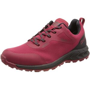 Jack Wolfskin Woodland Shell Texapore Low Wandelschoen - Walking Shoe Jack Wolfskin Woodland Shell Texapore Low Wandelschoen - Walking Shoe