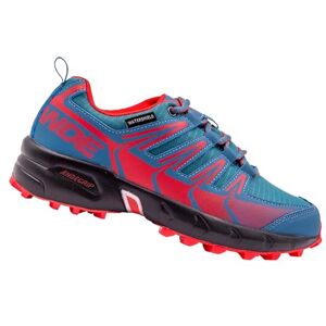 Ande New Tour Evo WP Trekkingschoenen, uniseks, volwassenen, 41 EU, ombrablu hibiscus, 41 EU Ande New Tour Evo WP Trekkingschoenen, uniseks, volwassenen, 41 EU, ombrablu hibiscus, 41 EU