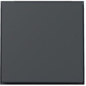 Gira 329667 Rocker antraciet mat Gira 329667 Rocker antraciet mat