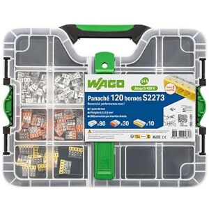 WAGO Koffer met 120 klemmen S2273 (80 x 2E + 30 x 3E + 10 x 5E) WAGO Koffer met 120 klemmen S2273 (80 x 2E + 30 x 3E + 10 x 5E)