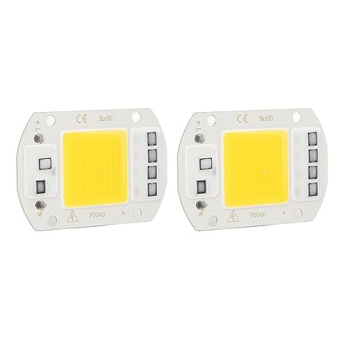 YYQTGG 2 Stks AC 220 V High Power COB LED Lamp Chip Flip COB Lamp Kraal voor Pretparken (Warm licht 20W)