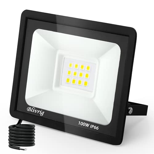 Blivrig Led-spot, led-spot voor buiten, 100 W, 10.000 lm, led-spot, voor buiten, 6000 K, koudwit, IP66 waterdicht, veiligheidsverlichting voor garage, fabrieken, stadions