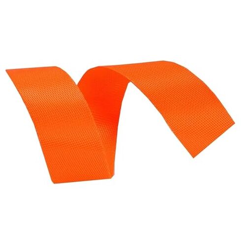 ANNURA Nylon singelband, 25 mm nylon spanbanden for tassen, bekledingsband for doe-het-zelf-knutselen, stroppen, rugzakken, omsnoeringsbanden, harnassen, halsbanden (kleur: rood, maat: 25 mm x 10 jaar (kleur