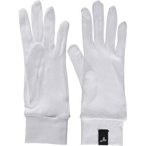 Terramar Thermasilk Handschoenvoering voor volwassenen, winterhandschoenen voor heren en dames, skiën, wandelen, activiteiten bij koud weer, grijs, S Terramar Thermasilk Handschoenvoering voor volwassenen, winterhandschoenen voor heren en dames, skiën, wandelen, activiteiten bij koud weer, grijs, S