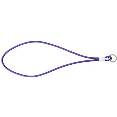 Copenhagen Design Pantone Universe PANTONE sleutelhanger L, lange sleutelhanger, nylon, Ultra Violet 18-3838 (COY) Copenhagen Design Pantone Universe PANTONE sleutelhanger L, lange sleutelhanger, nylon, Ultra Violet 18-3838 (COY)
