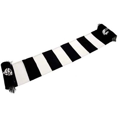 Tottenham Hotspur Spurs FC Football Club Wit Blauw Gestreepte Sjaal Badge Crest Tottenham Hotspur Spurs FC Football Club Wit Blauw Gestreepte Sjaal Badge Crest