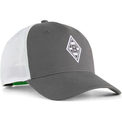 PUMA BMG King Trucker Cap Flat Bronze Warm White grijs PUMA BMG King Trucker Cap Flat Bronze Warm White grijs