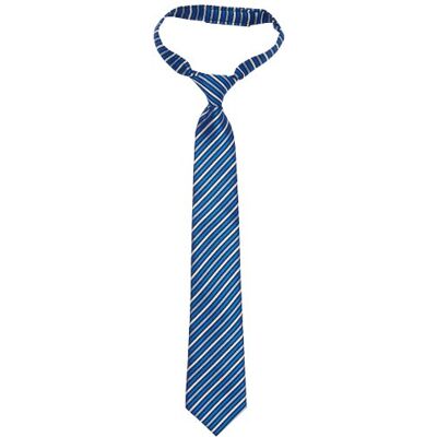 G.O.L. jongensstropdas, kant-en-klaar gebonden, geruit, blauw (Kobalt 1), Eén maat G.O.L. jongensstropdas, kant-en-klaar gebonden, geruit, blauw (Kobalt 1), Eén maat