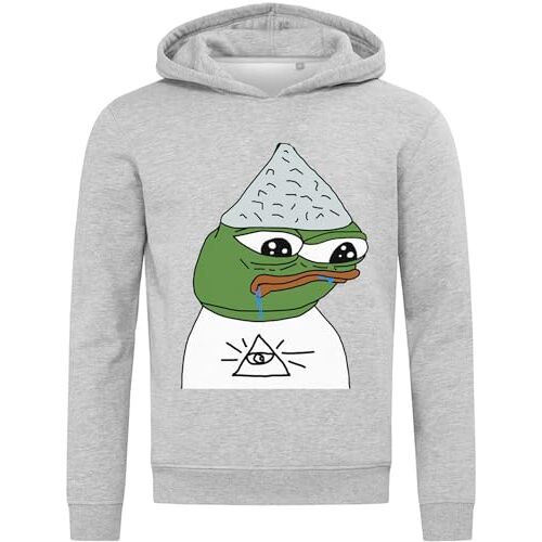 Atspauda Pepe aluminiumfolie hoed illuminati samenzweringstheoreticus meme Hooded Sweatshirt Hoodie Katoenmix Grijs, Grijs, 3XL