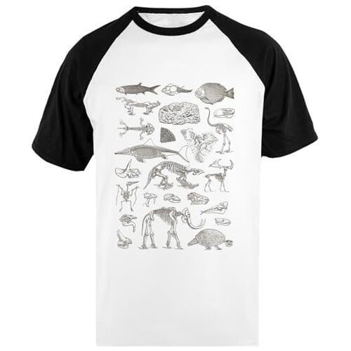 Pinitotee Paleontologie Illustratie Unisex Honkbal T-Shirt Met Korte Mouwen