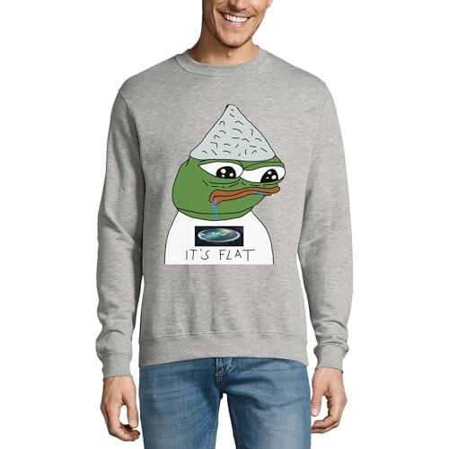 Atspauda Pepe aluminiumfolie hoed platte aarde samenzweringstheorie meme Katoen Trui Sweatshirt Pullover Jumper Grijs, Grijs, 3XL