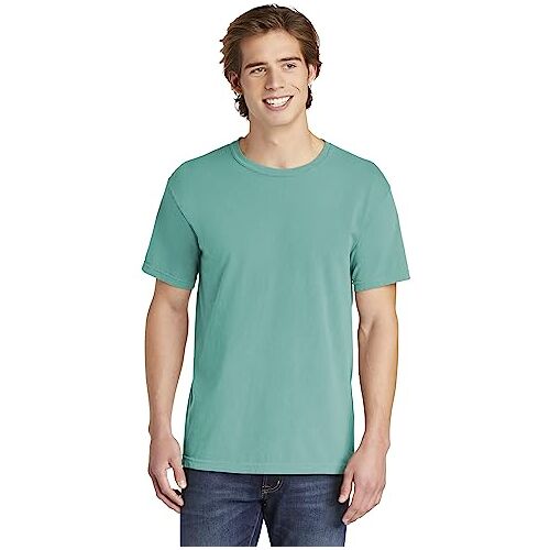 Comfort Colors T-shirt voor volwassenen voor heren, Zeevruchten, XL