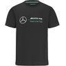 MERCEDES AMG PETRONAS 2022 MERCEDES-AMG PETRONAS FANWEAR LARGE LOGO TEE Black Mens (XL) Chest 102-112cm