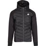 GORILLA WEAR Felton Jas Puffer & Softshell jas voor heren