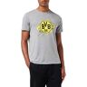 Borussia Dortmund BVB T-Shirt Logo grijs maat 3XL