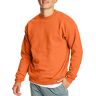 Hanes Heren EcoSmart Sweatshirtecosmart ecosmart sudadera moletom Ecosmart Ecosmart ش ر ا moletom Ecosmartecosmart Sweatshirt, Veiligheid Oranje, XXL