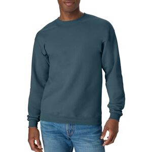 Hanes Heren EcoSmart Fleece, Trui Crewneck Sweatshirt, 1 of 2 Pack, Metallic Teal-1 Pack, 3X Large, 3XL Hanes Heren EcoSmart Fleece, Trui Crewneck Sweatshirt, 1 of 2 Pack, Metallic Teal-1 Pack, 3X Large, 3XL