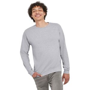 Hanes Herenshirt met lange mouwen ComfortSoft Longsleeve 4-pack, Licht staal., M Hanes Herenshirt met lange mouwen ComfortSoft Longsleeve 4-pack, Licht staal., M