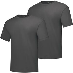 Hanes T-shirt voor heren, Houtskool Hei, M Hanes T-shirt voor heren, Houtskool Hei, M