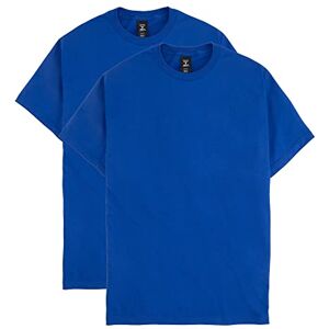 Hanes Heren T-Shirt blauw L Hanes Heren T-Shirt blauw L