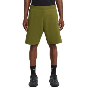 G-STAR Nifous Sw Shorts voor heren, groen (Mayfly D26281-d566-g985), XXL G-STAR Nifous Sw Shorts voor heren, groen (Mayfly D26281-d566-g985), XXL