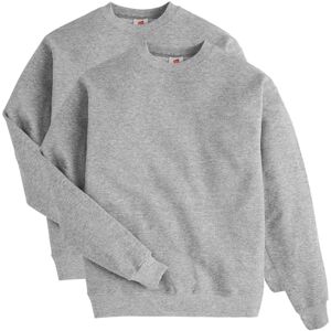 Hanes Heren EcoSmart Fleece, Pullover Crewneck Sweatshirt, 1 of 2 Pack, Licht Staal 2 Pack, XXL Hanes Heren EcoSmart Fleece, Pullover Crewneck Sweatshirt, 1 of 2 Pack, Licht Staal 2 Pack, XXL