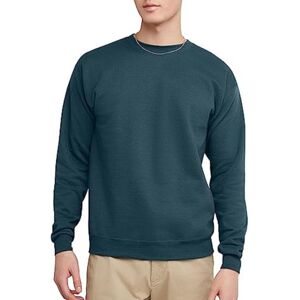 Hanes EcoSmart Fleece trui, katoenmix trui, sweatshirt met ronde hals voor heren, joggingpak, blauwgroen, metallic, 1 verpakking, Metallic Teal Blauw, 1 Pakket, L/Tall Hanes EcoSmart Fleece trui, katoenmix trui, sweatshirt met ronde hals voor heren, joggingpak, blauwgroen, metallic, 1 verpakking, Metallic Teal Blauw, 1 Pakket, L/Tall
