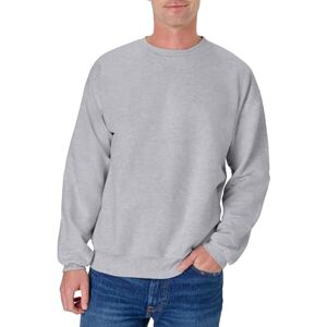 Hanes Sweatshirt voor heren, Licht staal, M Hanes Sweatshirt voor heren, Licht staal, M