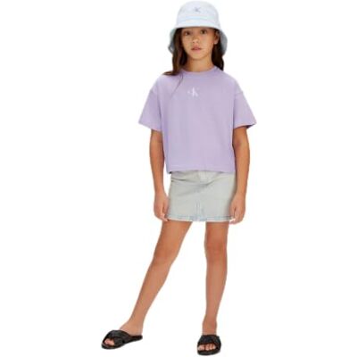 Calvin Ck Logo Boxy T-shirt voor meisjes LVCKSJA16G S/S T-shirt, paars (zachte lavendel 434-330), 6 jaar Calvin Ck Logo Boxy T-shirt voor meisjes LVCKSJA16G S/S T-shirt, paars (zachte lavendel 434-330), 6 jaar
