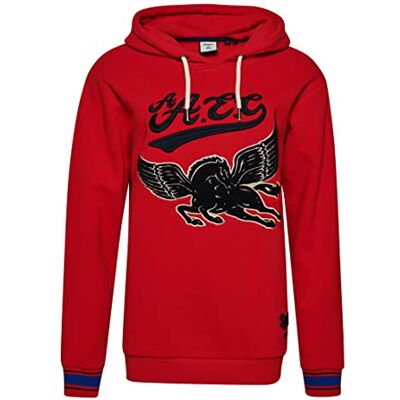 Superdry Collegiate Hood dames Sweatshirt met capuchon Superdry Collegiate Hood dames Sweatshirt met capuchon
