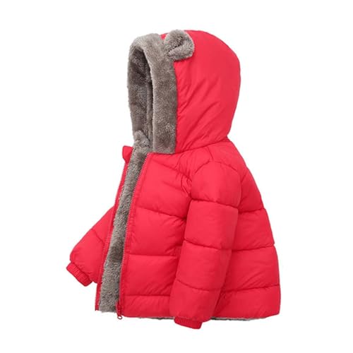 Gomice Jongens dragen oorjas Schattige kinderwinterjassen jongens   Zachte kinderhoodie, modieuze winterkleding voor de winter, koud weer, thuis van 1-4 jaar