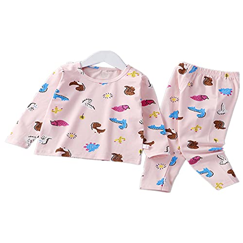 DOILE Jongens Baby Meisjes Kleding Sets Jongens Baby Meisjes Pyjama Sets Kinderen 2 Sets Katoen Lange Mouwen Tops Broek Kleding Sets 1-9 Jaar (5-6Years,A13)