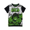 Marvel Jongens De Ongelooflijke Hulk T-Shirt Veelkleurig 152