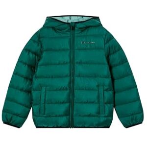 Champion Legacy Boys, Light Outdoor Jacket, XL, Groen, Groen, XL Champion Legacy Boys, Light Outdoor Jacket, XL, Groen, Groen, XL