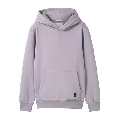 TOM TAILOR Jongens kinderen hoodie sweatshirt met print op de rug, 36606 Dusty Greyish Purple, 128 TOM TAILOR Jongens kinderen hoodie sweatshirt met print op de rug, 36606 Dusty Greyish Purple, 128