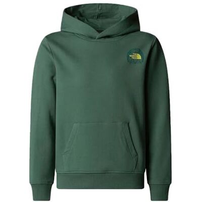 THE NORTH FACE Graphic Relaxed Sweatshirt met capuchon voor jongen Duck Green 140 THE NORTH FACE Graphic Relaxed Sweatshirt met capuchon voor jongen Duck Green 140