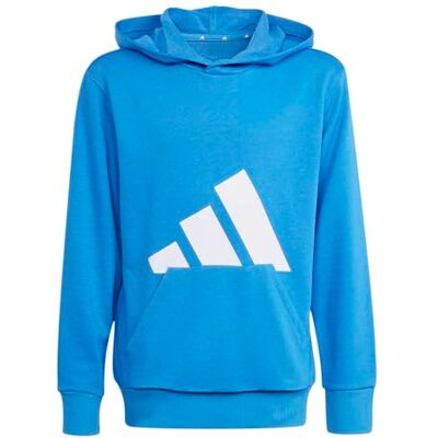 adidas Unisex niños ESSENTIALS BIG LOGO HOODIE, ray blue/white, 9-10 Years adidas Unisex niños ESSENTIALS BIG LOGO HOODIE, ray blue/white, 9-10 Years