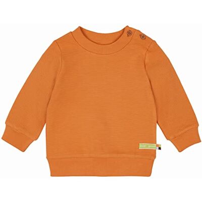 loud + proud Unisex kinderen ribstructuur, GOTS-gecertificeerd shirt, Carrot 74/80, karrood loud + proud Unisex kinderen ribstructuur, GOTS-gecertificeerd shirt, Carrot 74/80, karrood