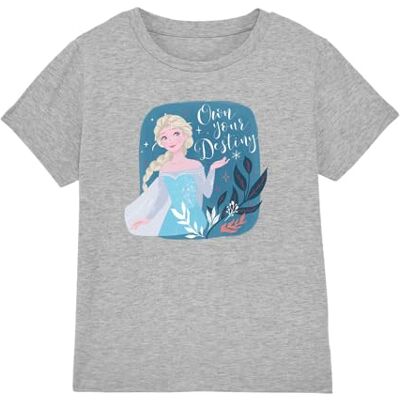 Disney Frozen Elsa Own Your Destiny T-shirt voor meisjes, grijs, 3-4 jaar, Grijs, 3-4 Jaren Disney Frozen Elsa Own Your Destiny T-shirt voor meisjes, grijs, 3-4 jaar, Grijs, 3-4 Jaren
