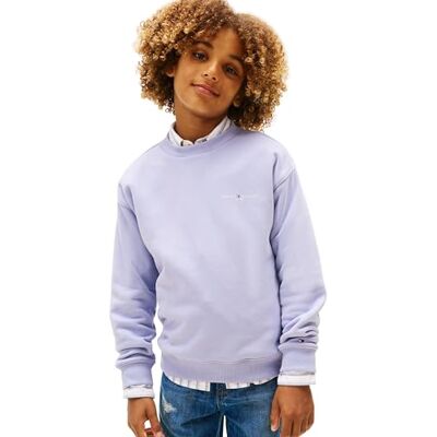 Tommy Hilfiger Unisex MINI CORP C-NECK SWEATSHIRT KS0KS00665 Pullover Sweatshirt, BLAUW (Maagdenpalm Dusk), 12 jaar, Blauw (Maagdenpalm Schemering), 12 jaar Tommy Hilfiger Unisex MINI CORP C-NECK SWEATSHIRT KS0KS00665 Pullover Sweatshirt, BLAUW (Maagdenpalm Dusk), 12 jaar, Blauw (Maagdenpalm Schemering), 12 jaar