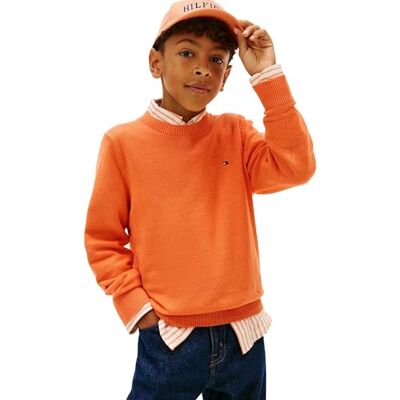 Tommy Hilfiger Trui met ronde hals voor jongens Ls KB0KB10307 Sweaters, Oranje (Lush Orange HTR), 2 jaar Tommy Hilfiger Trui met ronde hals voor jongens Ls KB0KB10307 Sweaters, Oranje (Lush Orange HTR), 2 jaar