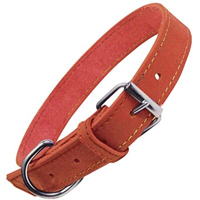 GLORIA LO MEJOR PARA TU MEJOR AMIGO GLORIA 8432288104897 Halsketting van nubuckleer, RJ, 250 g GLORIA LO MEJOR PARA TU MEJOR AMIGO GLORIA 8432288104897 Halsketting van nubuckleer, RJ, 250 g